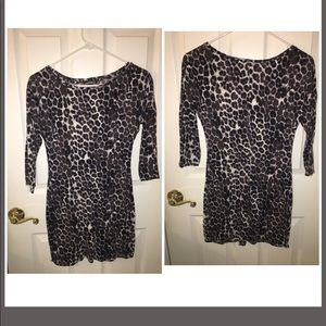Express Brand Dress